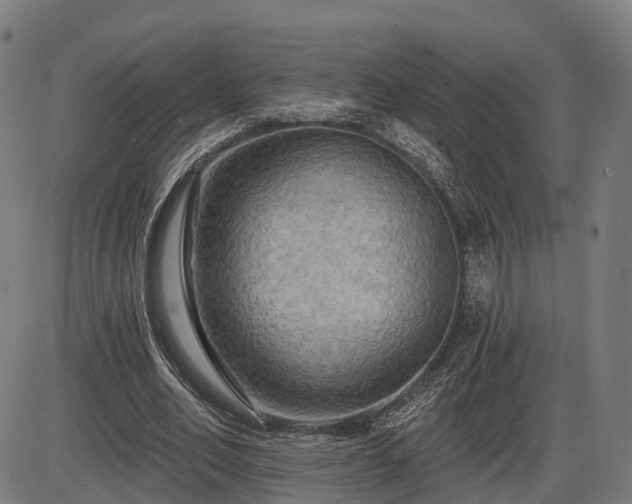 X0000085320582200703161508