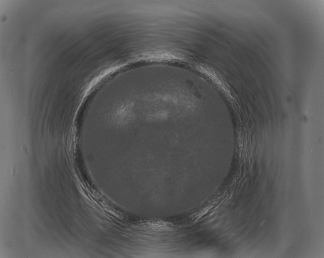X0000085320583200703161508