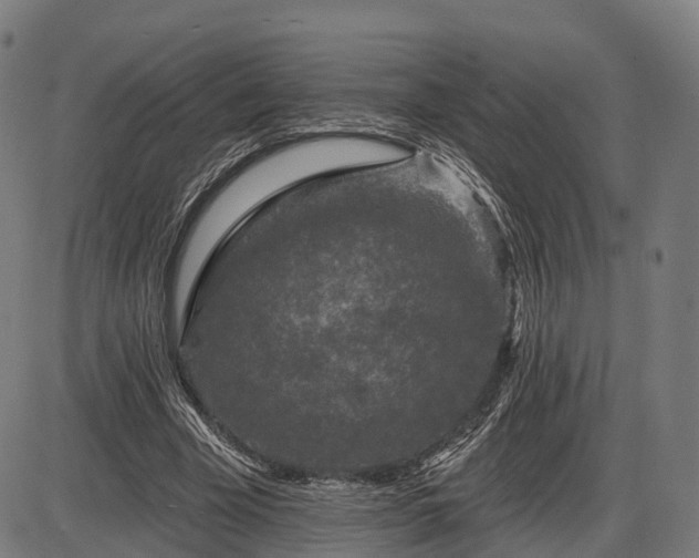 X0000085320585200703161508