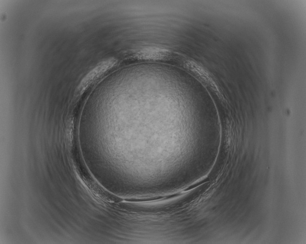X0000085320586200703161508
