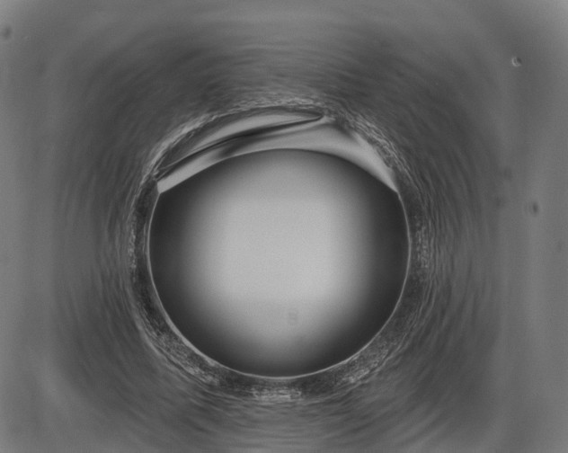 X0000085320587200703161508