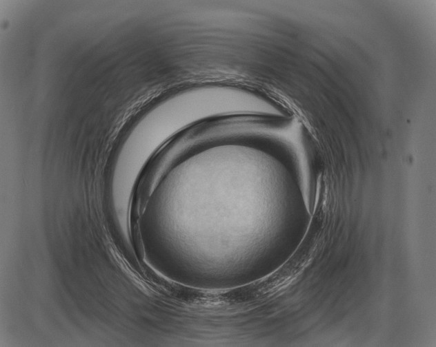 X0000085320589200703161508