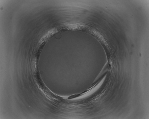 X0000085320590200703161508