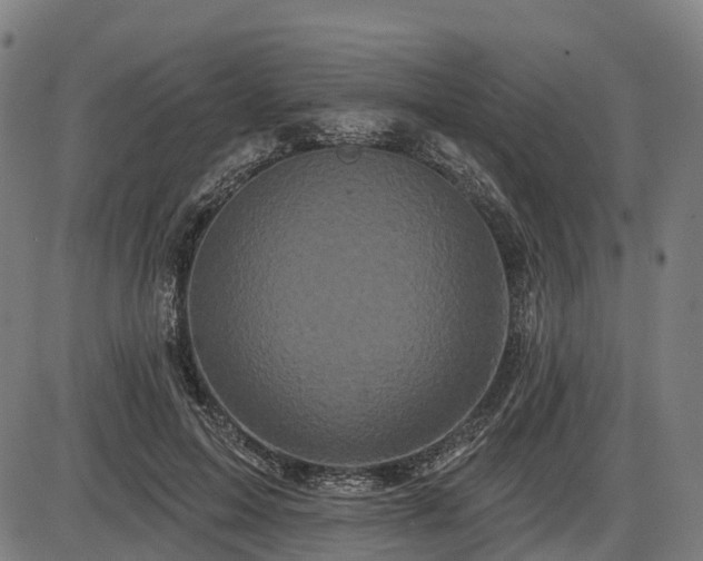 X0000085320599200703161507