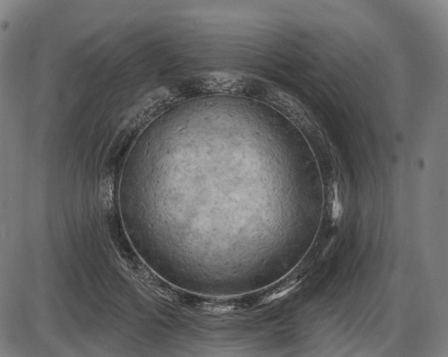 X0000085320602200703161507