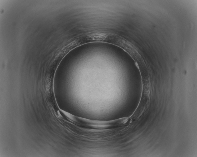 X0000085320604200703161507