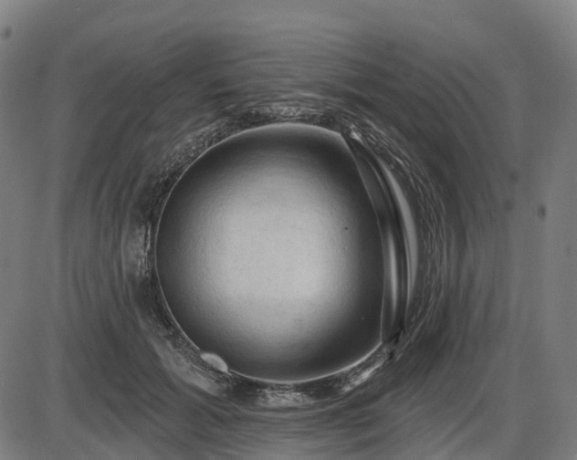 X0000085320605200703161507