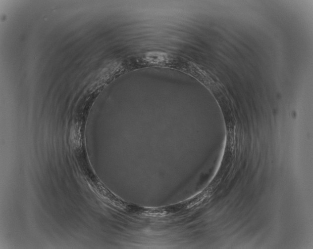 X0000085320606200703161507
