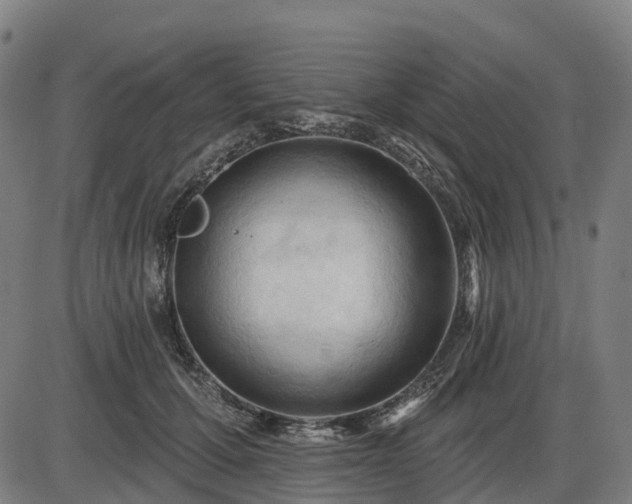 X0000085320607200703161507
