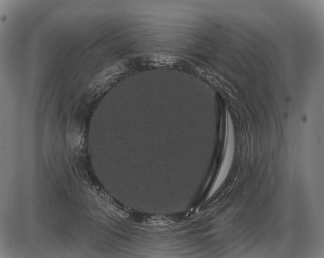 X0000085320608200703161507
