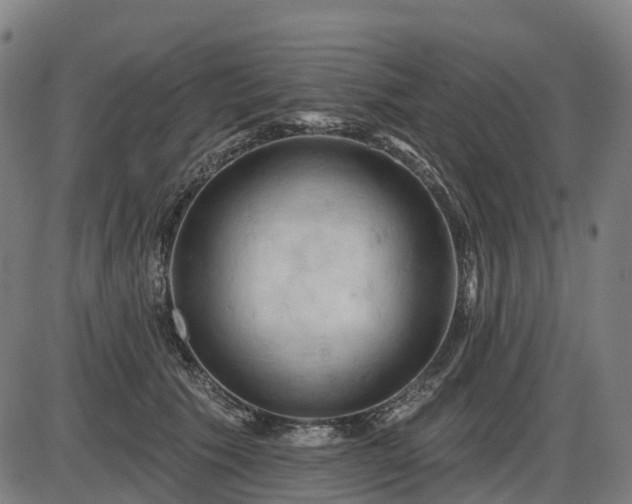 X0000085320609200703161507