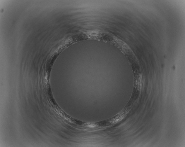 X0000085320610200703161507