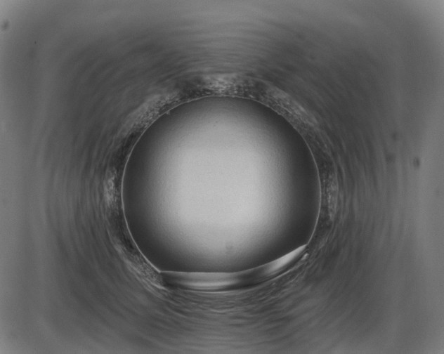 X0000085320611200703161507