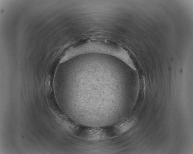 X0000085320615200703161507