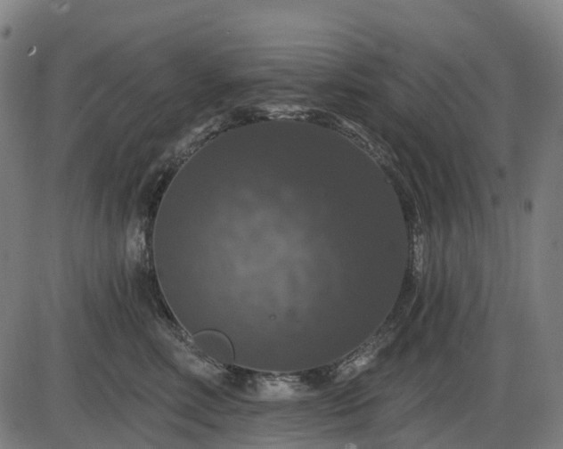 X0000085320618200703161507