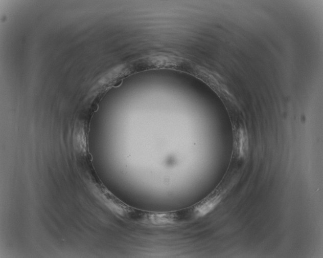 X0000085320622200703161507