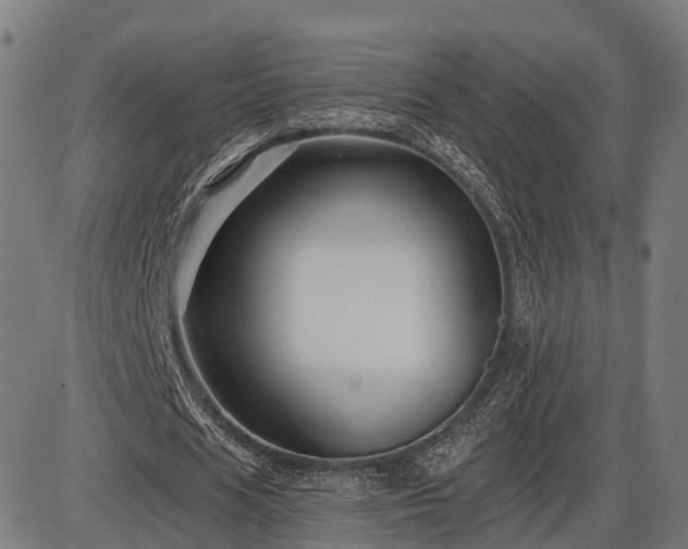 X0000085320625200703161506