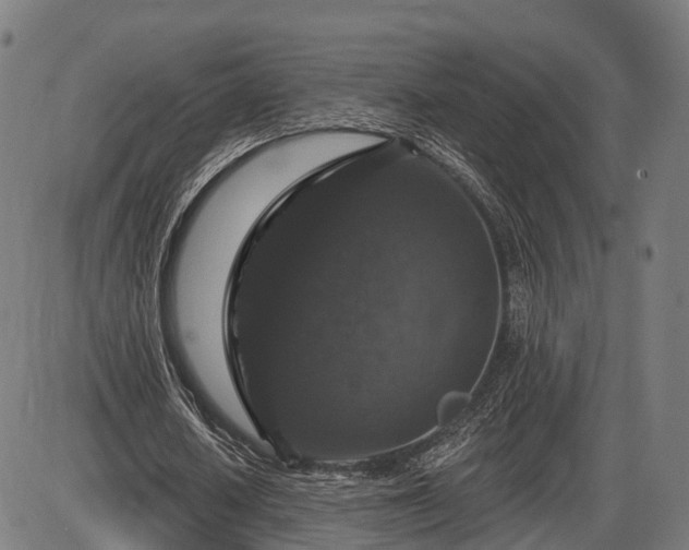 X0000085320626200703161506