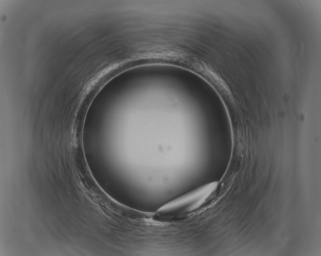 X0000085320628200703161506