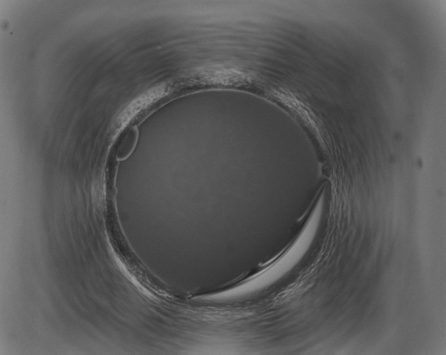 X0000085320630200703161506