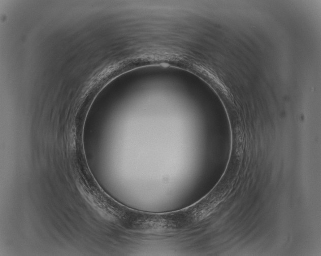 X0000085320631200703161506