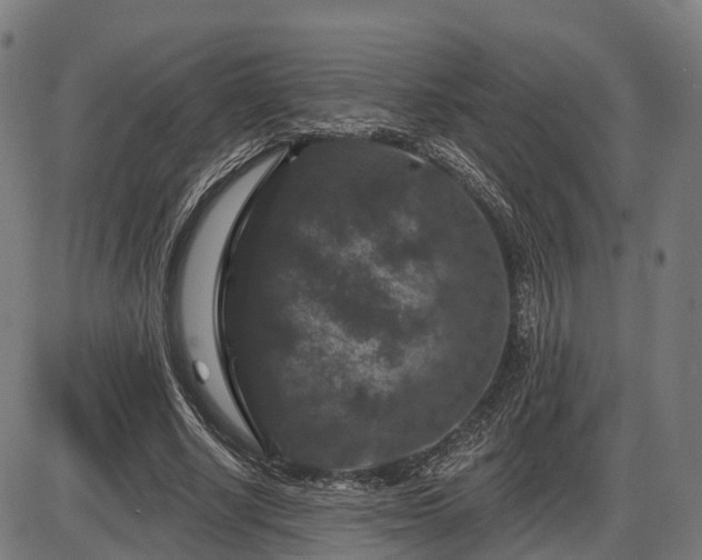 X0000085320634200703161506