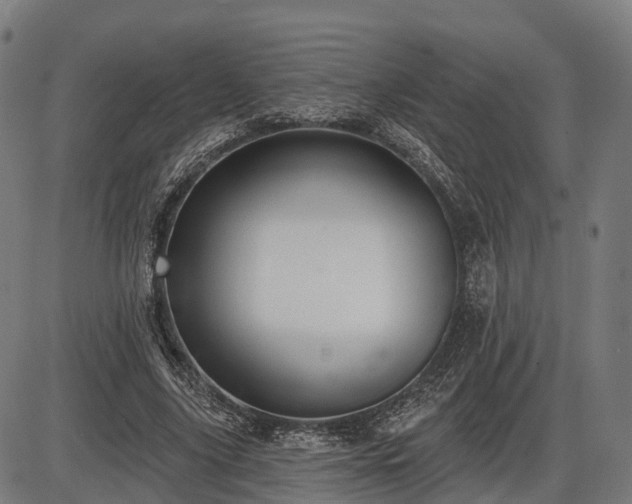 X0000085320635200703161506