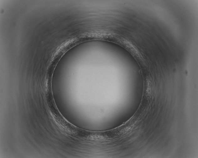 X0000085320636200703161506