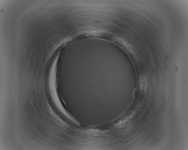 X0000085320637200703161506