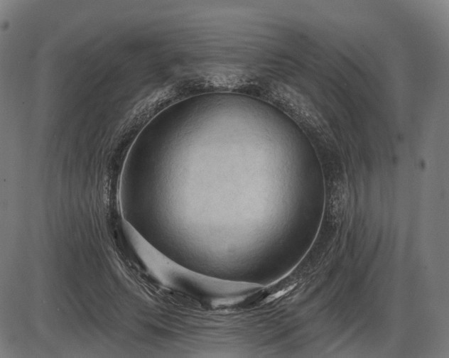 X0000085320639200703161506
