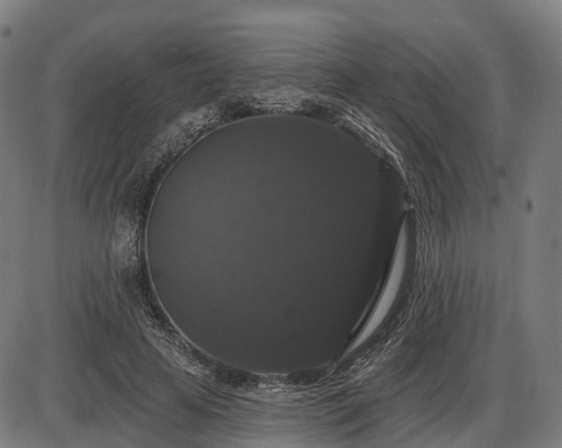 X0000085320641200703161507