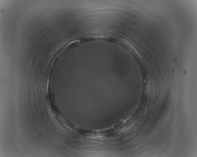 X0000085320643200703161507