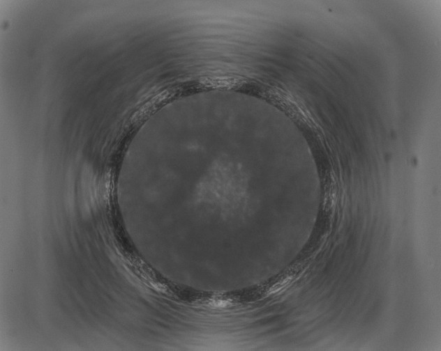 X0000085320647200703161507