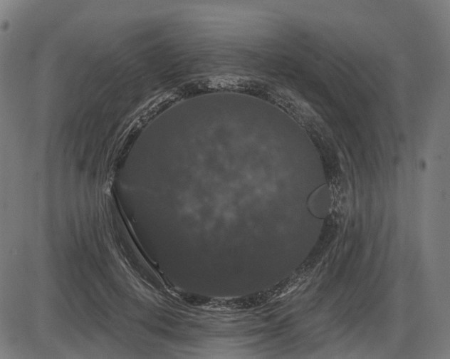 X0000085320648200703161507