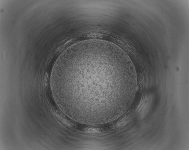 X0000085320649200703161507