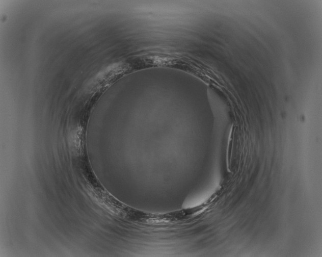 X0000085320650200703161507