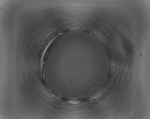 X0000085320654200703161507