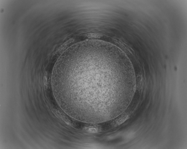 X0000085320655200703161507