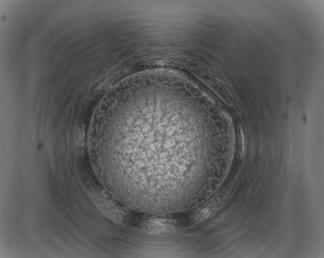X0000085320657200703161507