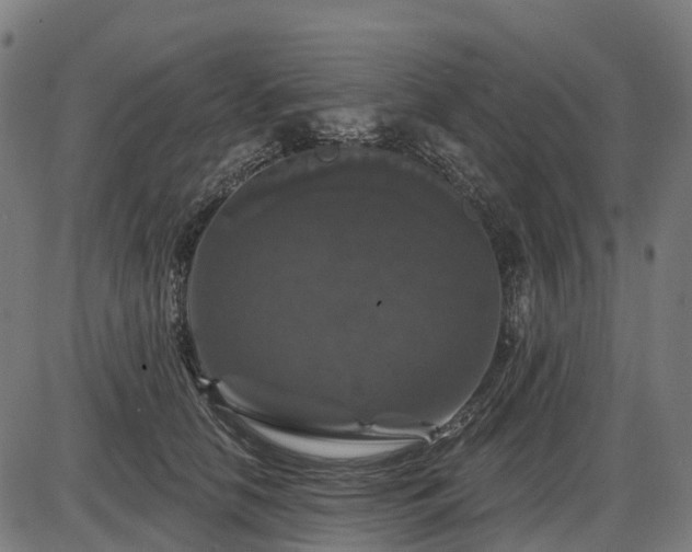 X0000085320658200703161507