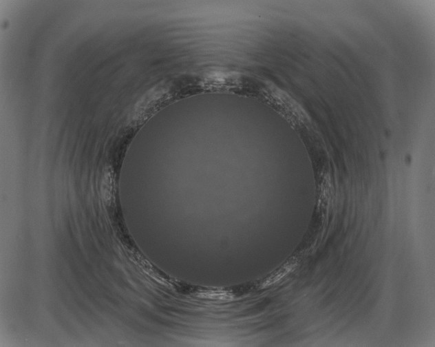 X0000085320659200703161507