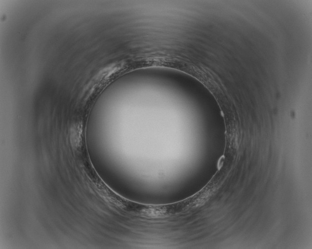 X0000085320660200703161507