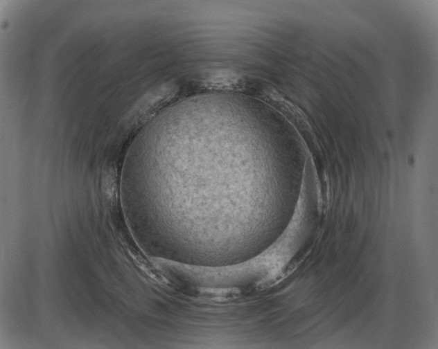 X0000085320665200703161507