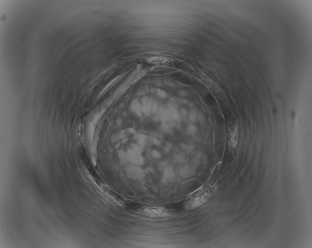 X0000085320666200703161507