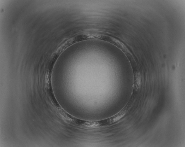 X0000085320667200703161507