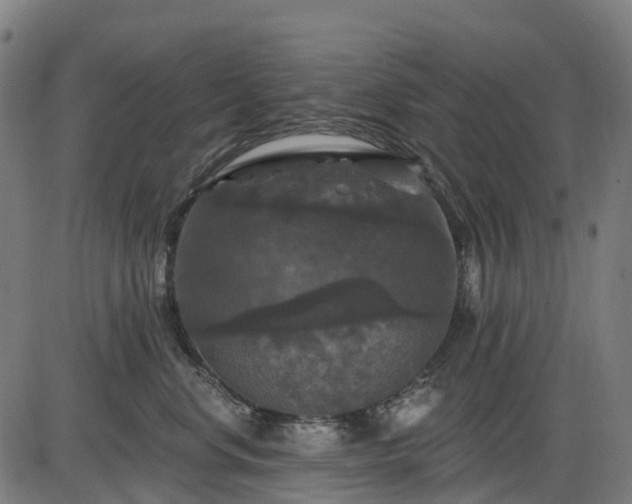 X0000085320668200703161507