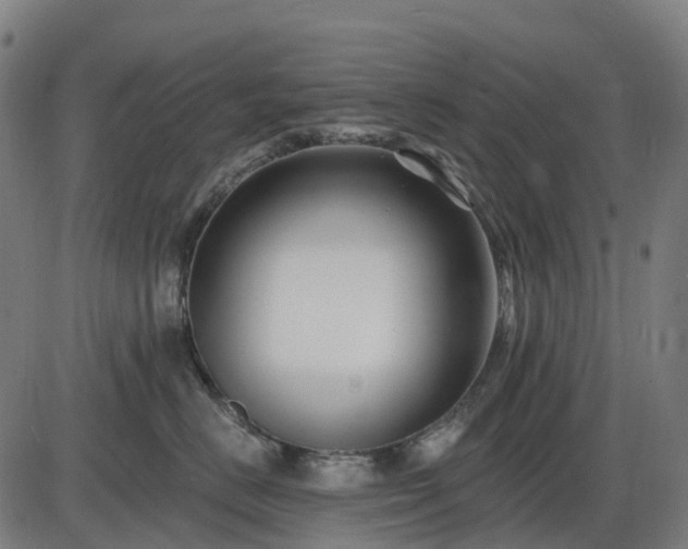 X0000085320670200703161507
