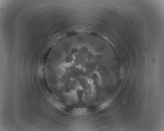X0000085320671200703161507