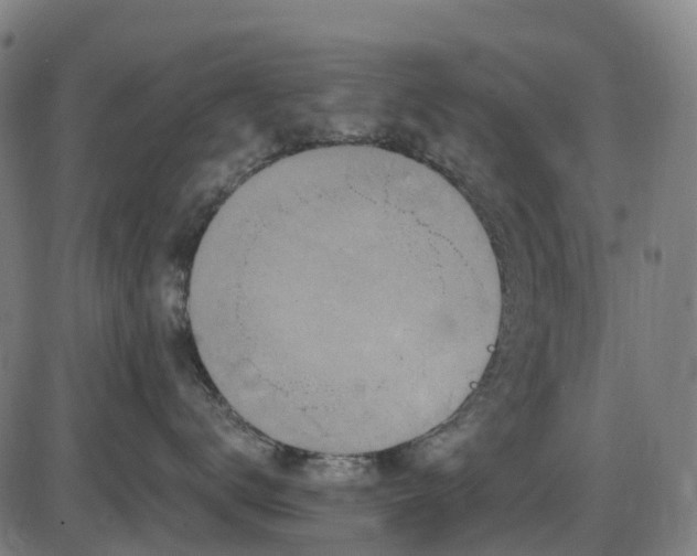 X0000085320672200703161507