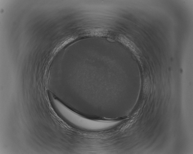 X0000085320673200703161506